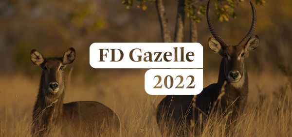 FD Gazelle 2022